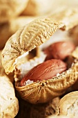 Peanuts (close-up)