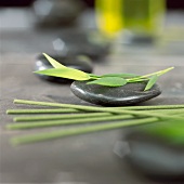 Bambusblatt auf Massagestein, Räucherstäbchen