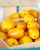 Kumquats in crate