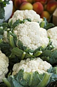 Cauliflowers