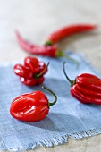 Five red chili peppers