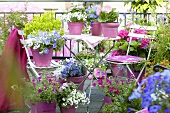 Summery balcony with flowering plants in pots and sunshade