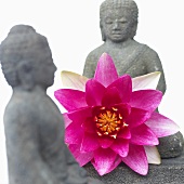 Seerose und Buddhafiguren
