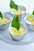 Lime panna cotta in small bowls on tray