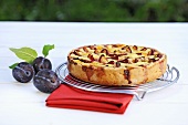 Plum tart on cake rack