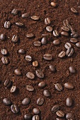 Coffee beans on ground coffee