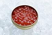 Salmon caviar in tin