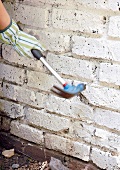 Spalierbaum einpflanzen: Nagel in Mauer einschlagen