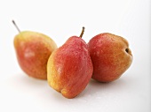 Three pears (variety 'Red Williams') with drops of water