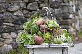 Apples and pears in wire basket on wooden table