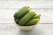 Several pickling cucumbers in small dish