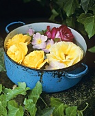 Roses in a cooking pot