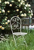 Garden chair in front of rose bush