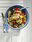 Orecchiette with tuna and summer vegetables