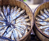 Sardines in wooden containers
