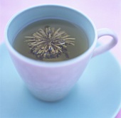 Eine Tasse Grüner Tee