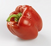 A red pepper with drops of water