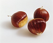 Sweet chestnuts