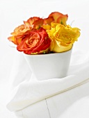 Roses in white pot