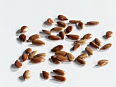 Linseed