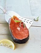 Wild salmon cutlet