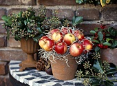 Winterdeko: Topf mit Äpfeln und Metallvase mit Strauchefeu