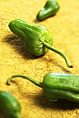 Pimientos de Padron (Spanish pepper variety)