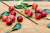 Materials for Xmas wreath of holly leaves & ornamental apples
