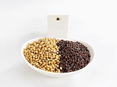 Yellow and brown mustard seeds