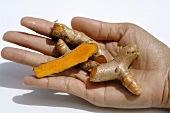 Hand holding turmeric roots