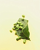 Green beans on a leaf