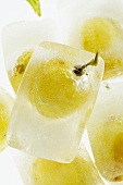 Green grapes in ice cubes