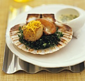 Grilled scallop with cabbage and lemon sauce