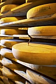 Comté cheeses with cheese tester in Fort de Rousse cheese cellar