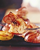 Grilled lobster tail