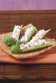 Celery with cheese and basil