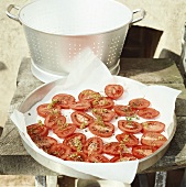 Tomaten trocknen