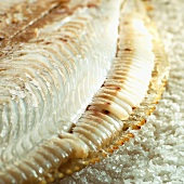 Turbot baked in salt (close-up)
