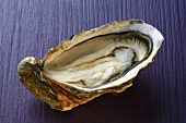 Fresh oyster