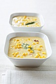 South African sweetcorn soup