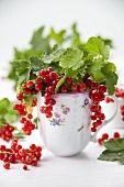Redcurrants with leaves in a cup