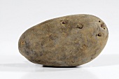 A potato (variety 'Blaue Elise')