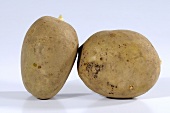Two potatoes (variety 'Adretta')