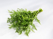 A bunch of fresh dill