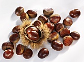Sweet chestnuts