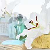 White lily and beauty products