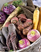 Assorted root vegetables