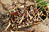 Dried honeysuckle stem in scoop