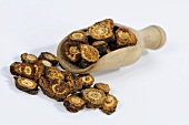 Dried Notopterygium root (Qiang Huo, China) with scoop