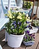 Spring flowers in pots on a balcony